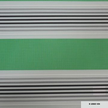 b_10063_v04